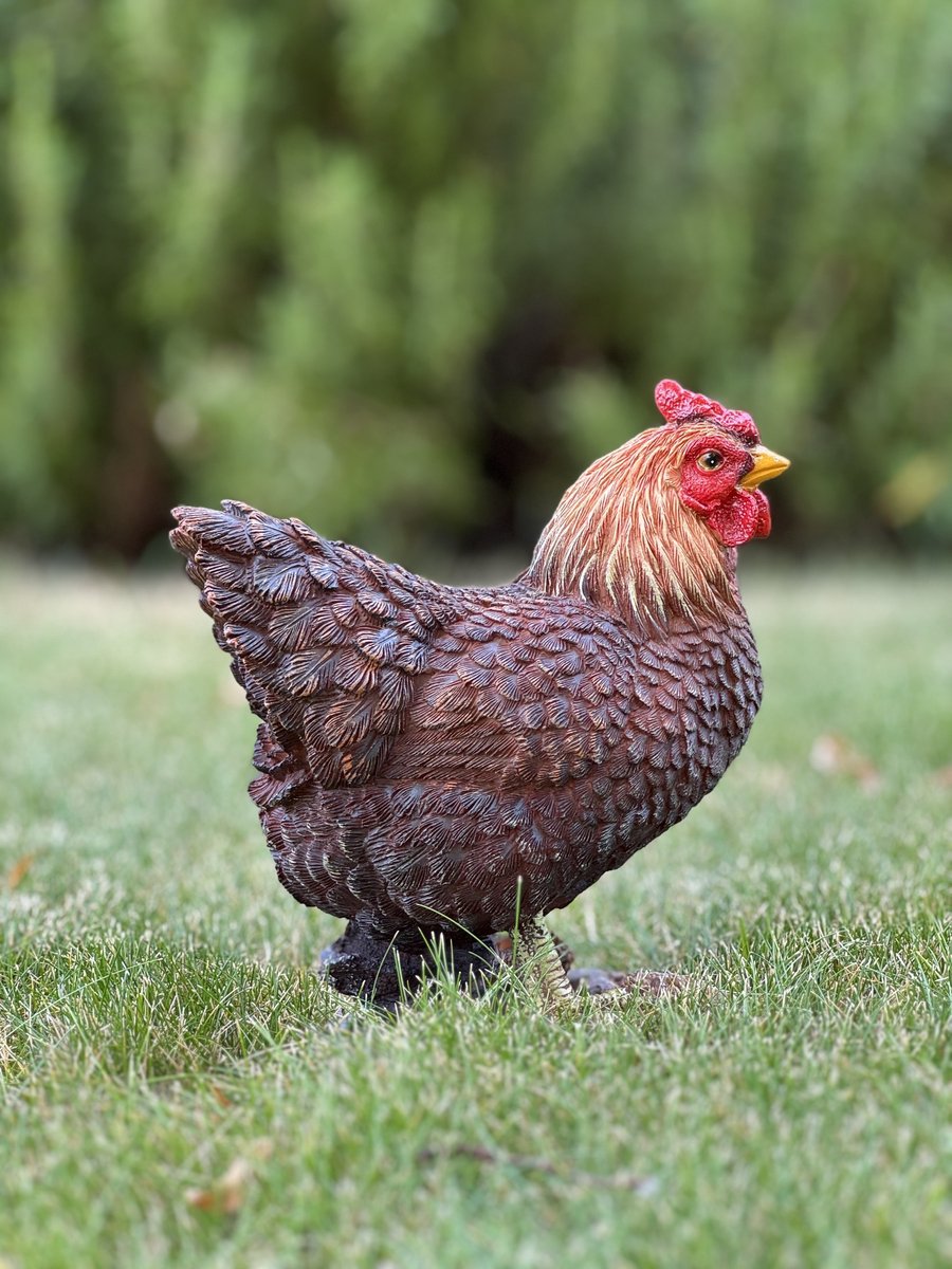 Kip Staand 20 cm hoog Bruin Ess - Boerderijdier - Decoratief beeld - Voor buiten - Tuindecoratie - Dierenbeeld - Vogel - Pasen - Schattig - Voor hem - Voor haar - Vaderdag - Moederdag - cadeau - Geschenk - Verjaardag - Nieuwjaar - Kerst