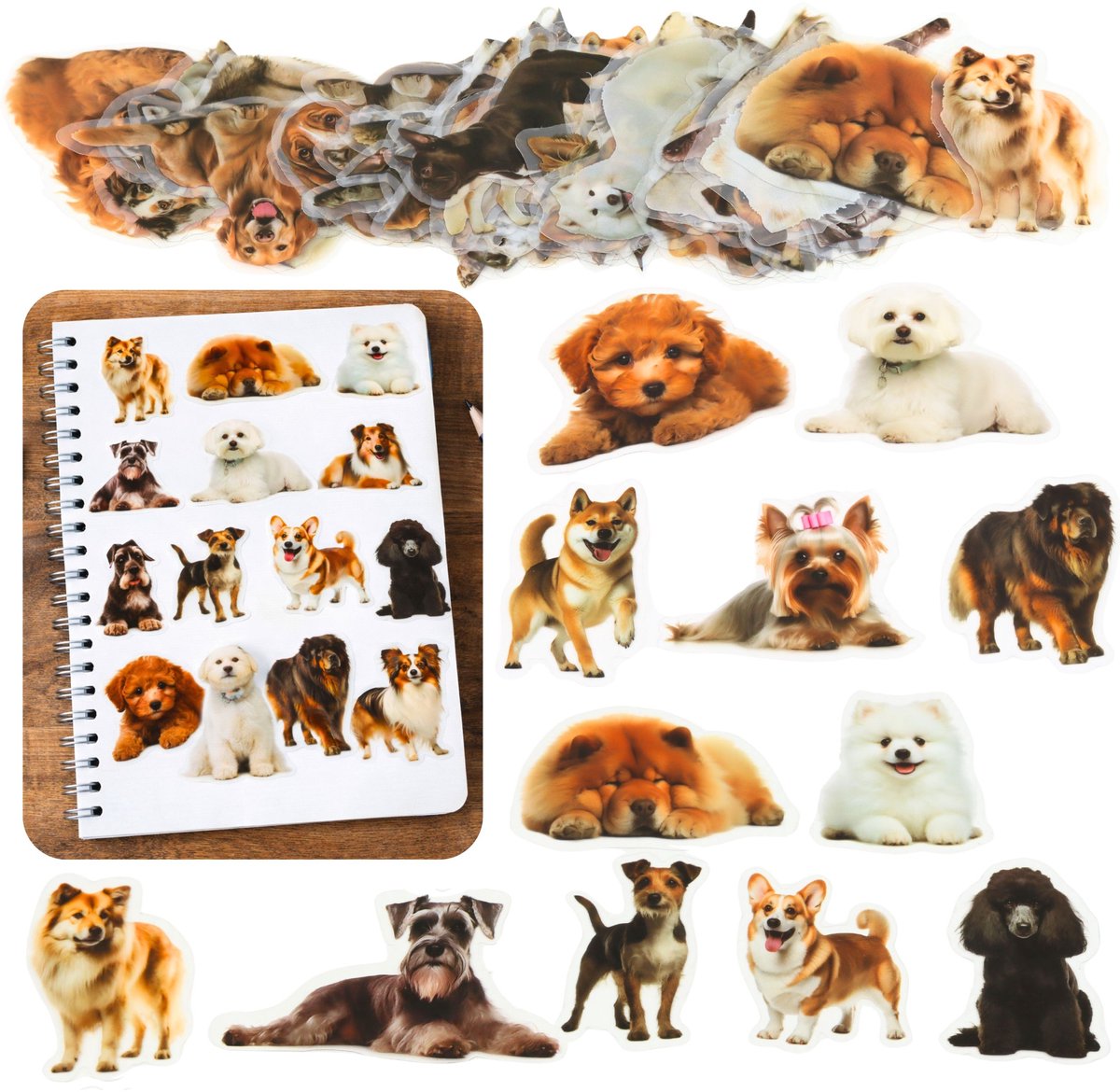 Set Hondenstickers Diverse Soorten Glad Transparant 50 St.