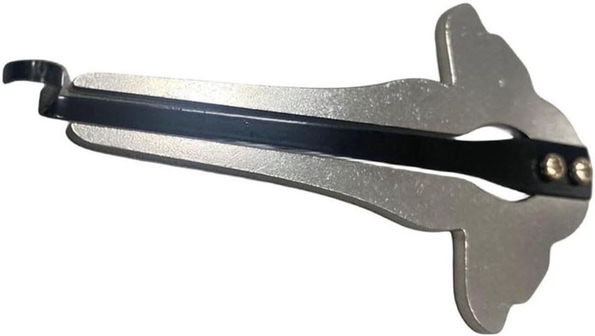 Roestvrijstalen Kaakharp - Mondharp Joodse Harp - Muziekonderwijs Ritmecreatie - Draagbaar Etnisch Instrument - 10.6 cm - Chroom