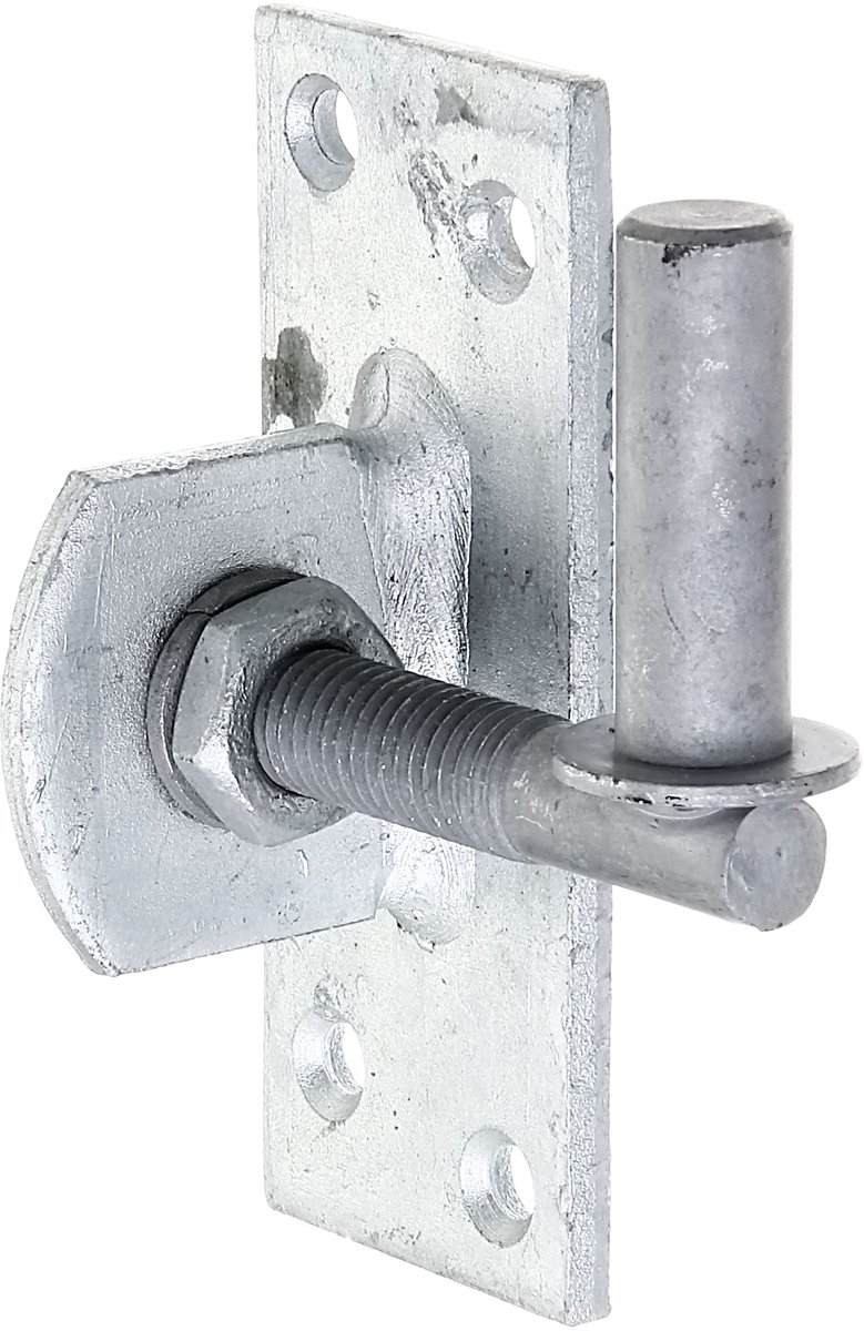 Alberts 318758 plaatduim om vast te schroeven | verstelbaar met 20 mm | thermisch verzinkt | doornmaat Ø13 mm | plaat 100 x 40 mm