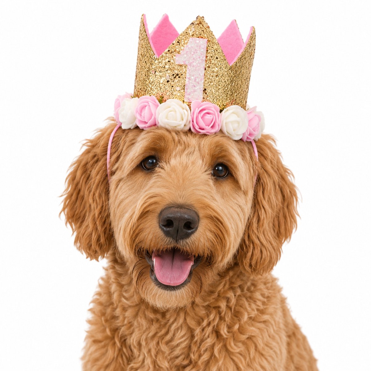 Luxe eerste verjaardag hoed voor de de hond