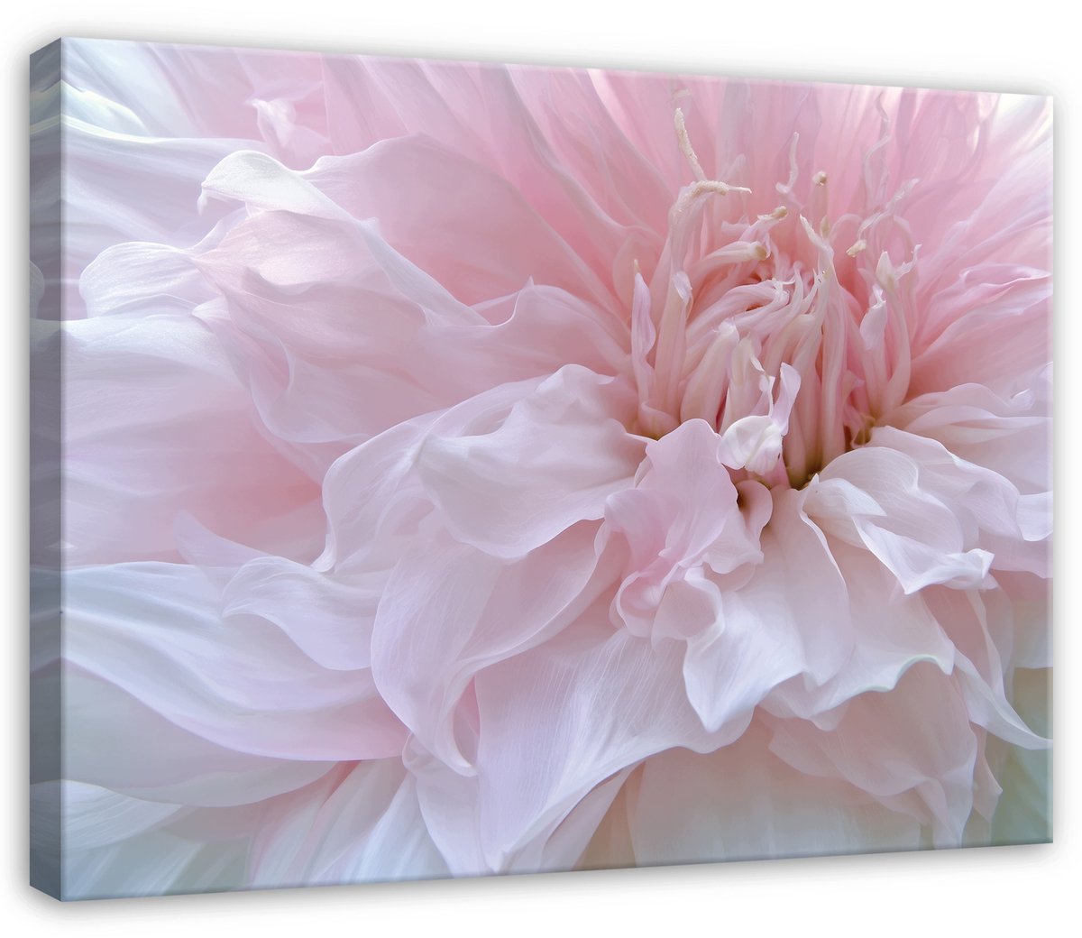 WALLARENA Canvas schilderij 120x80 cm - roze bloemen abstract