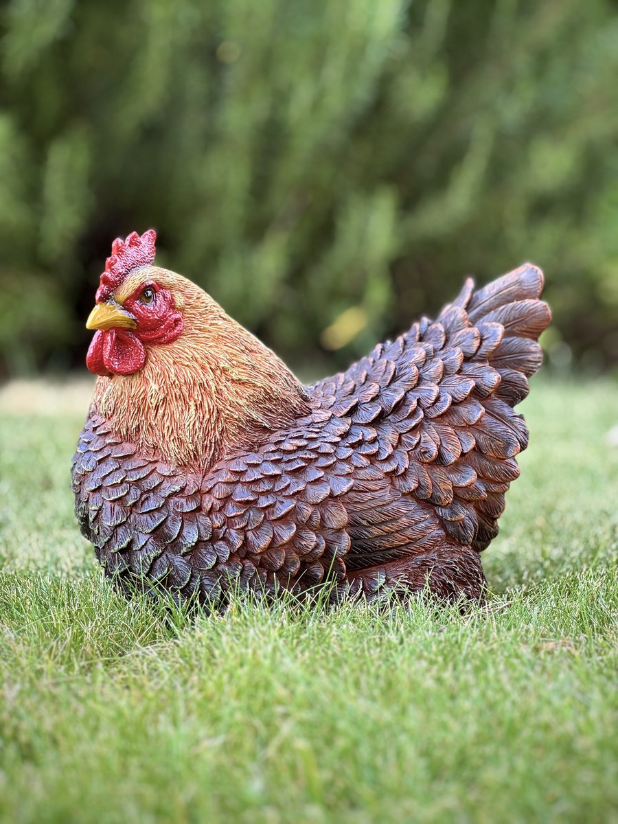 Kip liggend bruin 21 cm hoog Bruin Ess - Boerderijdier - Decoratief beeld - Voor buiten - Tuindecoratie - Dierenbeeld - Vogel - Pasen - Schattig - Voor hem - Voor haar - Vaderdag - Moederdag - cadeau - Geschenk - Verjaardag - Nieuwjaar - Kerst