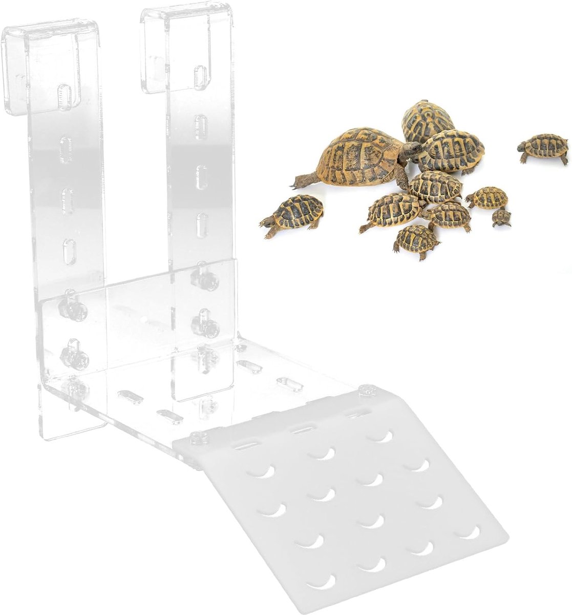 SnelShoppen - Turtles Platform Tortoise Disaster Acryl Relax Rack Zon Platform met Zuignappen voor Reptielen Aquarium - Aanpasbare Haak, Makkelijk te