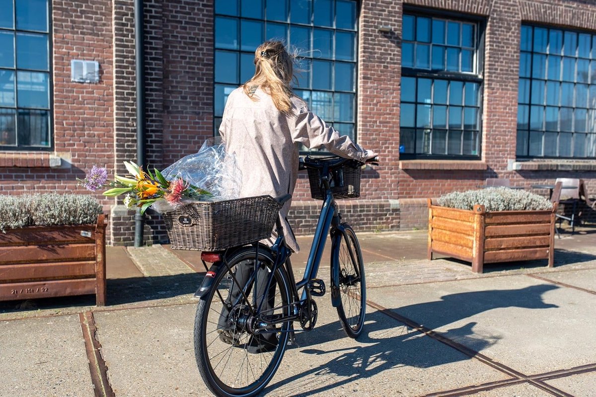 Fietstas Achterdrager - Fietsmand Mand - Fietsen Boodschappen - Plastic Rotan Look - One Size - Bruin