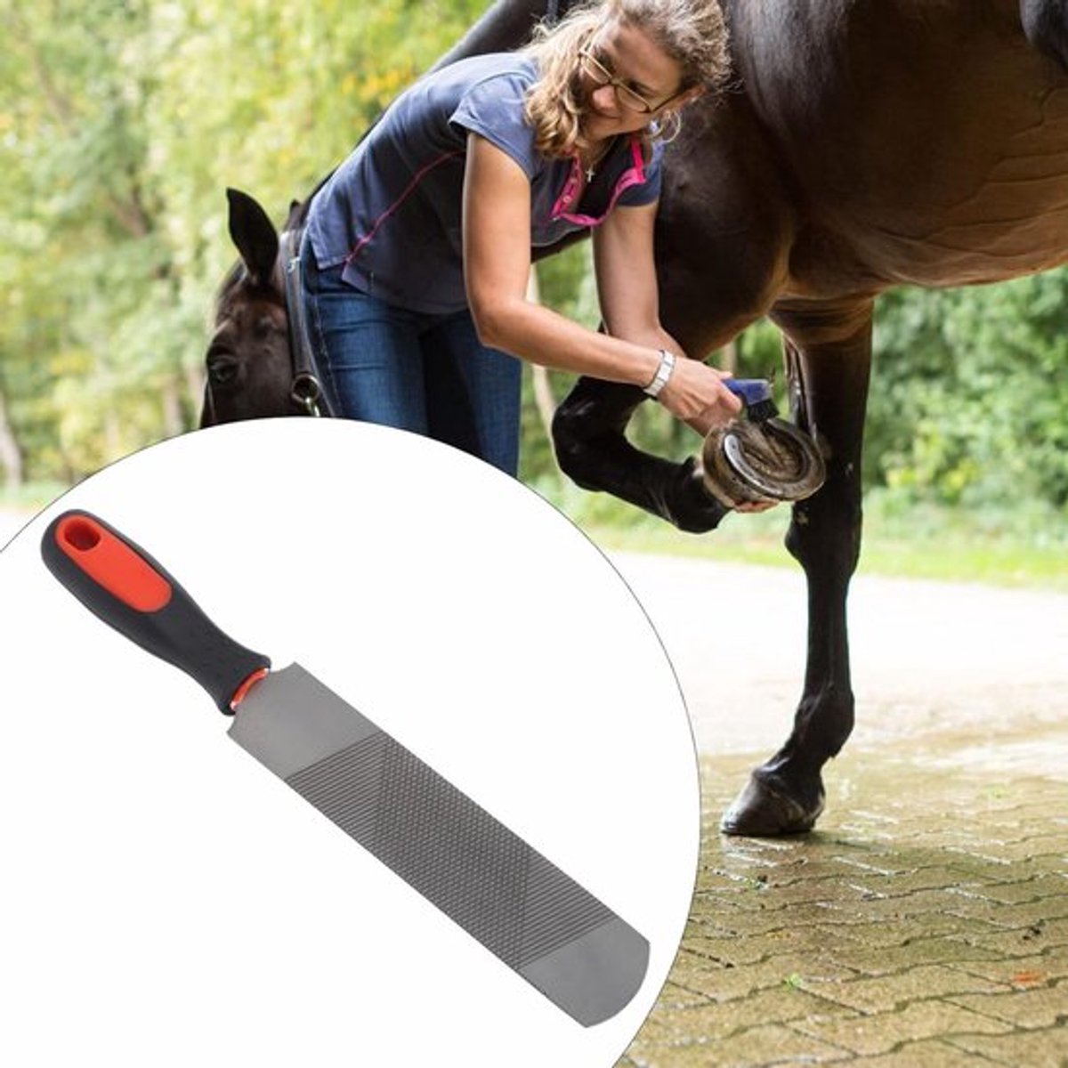 Ergonomische Hoefijzer Rasp van 20 cm van Koolstofstaal met Flexibele Handgreep voor Efficiënt Gebruik en Glad Schuren