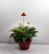 Kweeklamp iSun PotLed 7W (Rood)