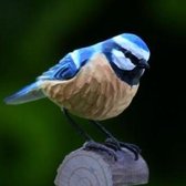 Oiseau en bois - mésange bleue