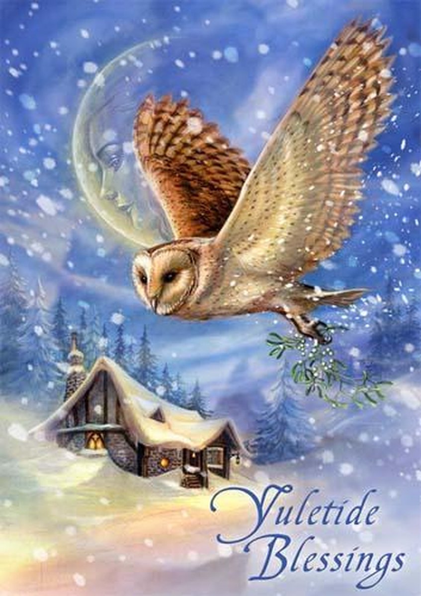 Eastgate Wenskaart The Snow Bringer Kerstkaart Multicolours