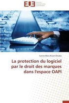 La protection du logiciel par le droit des marques dans l'espace OAPI