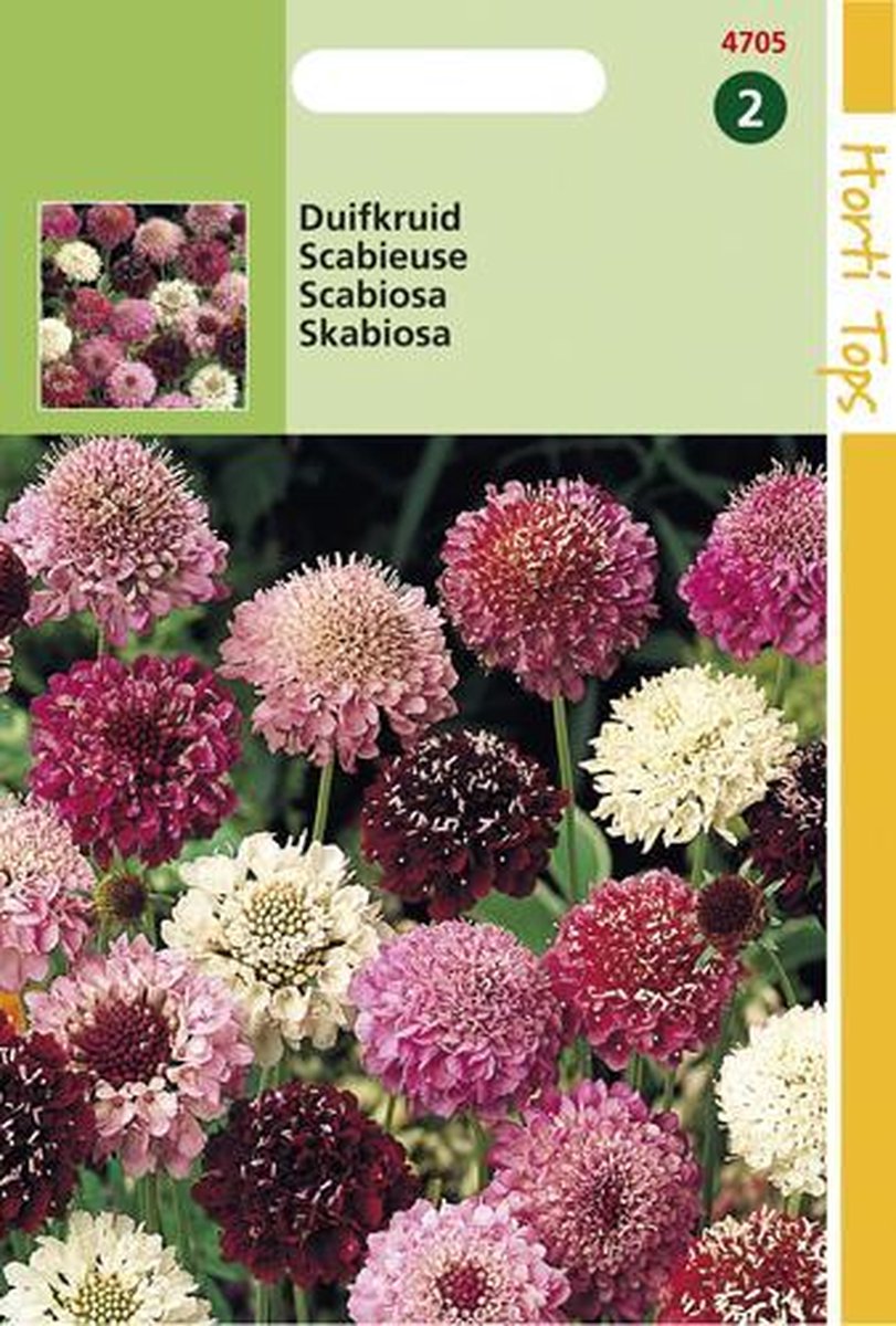 Hortitops Duifkruid Bloemzaad - Scabiosa Atropurpurea - Gemengd