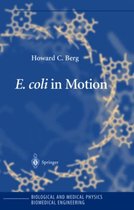 E. coli in Motion