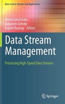 Data Stream Management