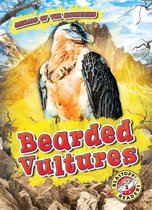 Animals of the Mountains - Bearded Vultures