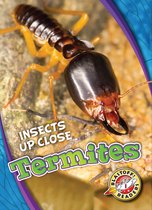 Insects Up Close - Termites