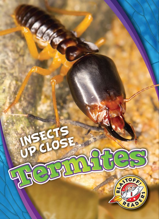 Insects Up Close - Termites - cover