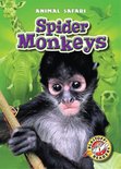 Animal Safari - Spider Monkeys
