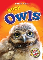Super Cute! - Baby Owls
