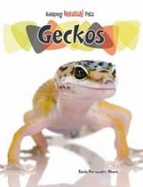 Geckos