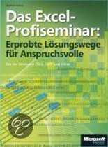 Das Excel-Profiseminar: Erprobte Lösungswege für Anspruchsvolle