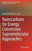 Nanocarbons for Energy Conversion