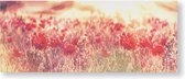 Art for the Home - Canvas - Klaprozen - 100x40 cm