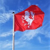 NR 310: Vlag Twente 150x100 cm. Twentse vlag, Twentse Ros vlag