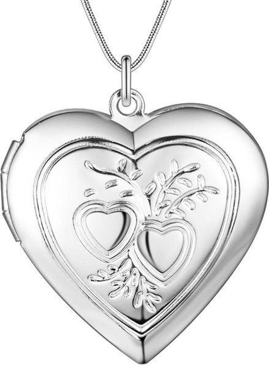 Medaillon hart hartjes hanger met ketting snake schakel | liefde | gedenk |  bol.com