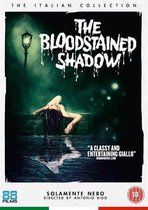 Bloodstained Shadow