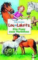 Lou und Lakritz. Ein Pony zum Verlieben