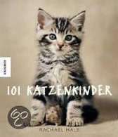 101 Katzenkinder