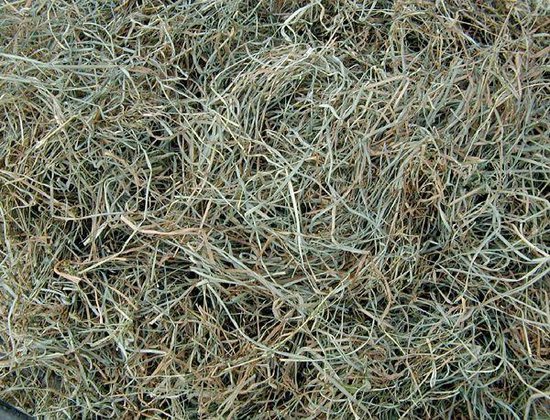 Volledige textuur van droog hooi, lichtgroene en bruine tinten, met fijne stengels.