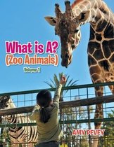 What Is A? (Zoo Animals)