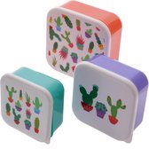 brooddoos / lunchbox set van 3 merk puckator , afbeelding van cactussen