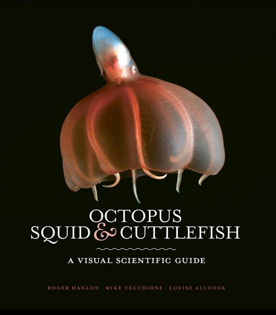 Octopus, Squid & Cuttlefish - cover
