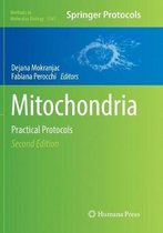 Mitochondria