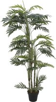 Europalms Phoenix palm met meerdere stam, 170cm