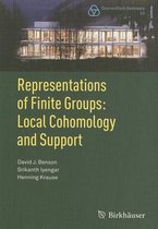 Representations of Finite Groups Local Cohomology and Support