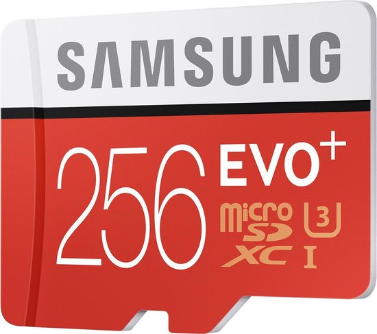 Oude tijden Vrijlating Eeuwigdurend Samsung Evo+ 256 GB Micro SD kaart - met adapter | bol.com