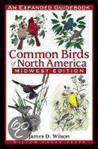 Common Birds Of North America