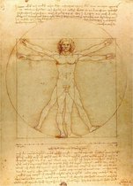 Poster Mens van Vitruvius (Vitruviusman) - Leonardo Da Vinci - Large 70x50 cm