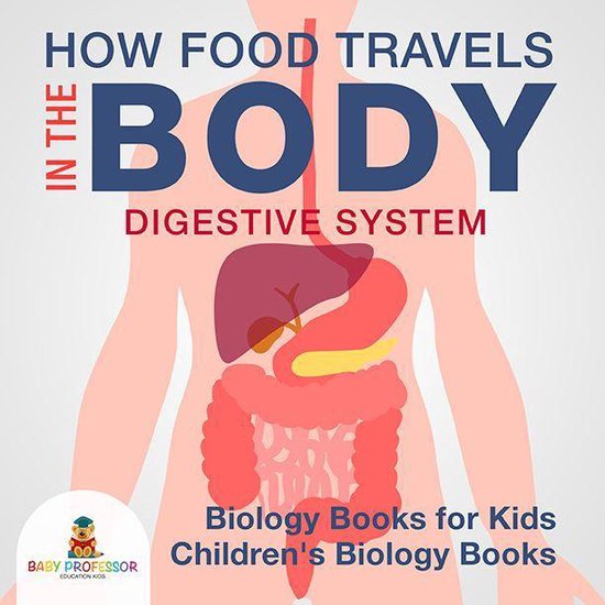 How Food Travels In The Body - Digestive System - Biology Bo ... - cover