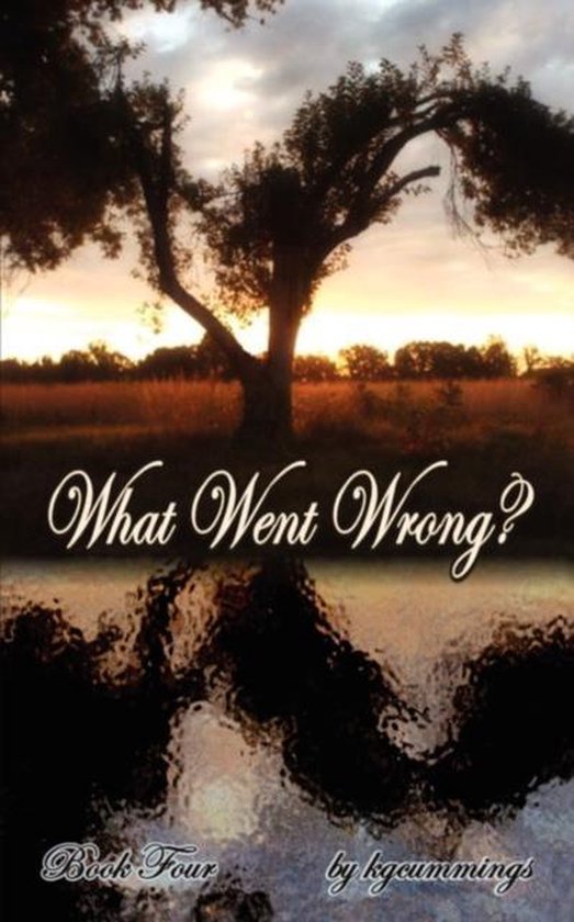 What Went Wrong? - cover