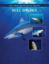 Bull Sharks