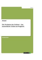 Die Evolution des Gehirns - das menschliche Gehirn im Vergleich