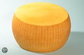 Parmigiano Reggiano, Kaas, heel - 440 x 210 mm - Kaasdummy