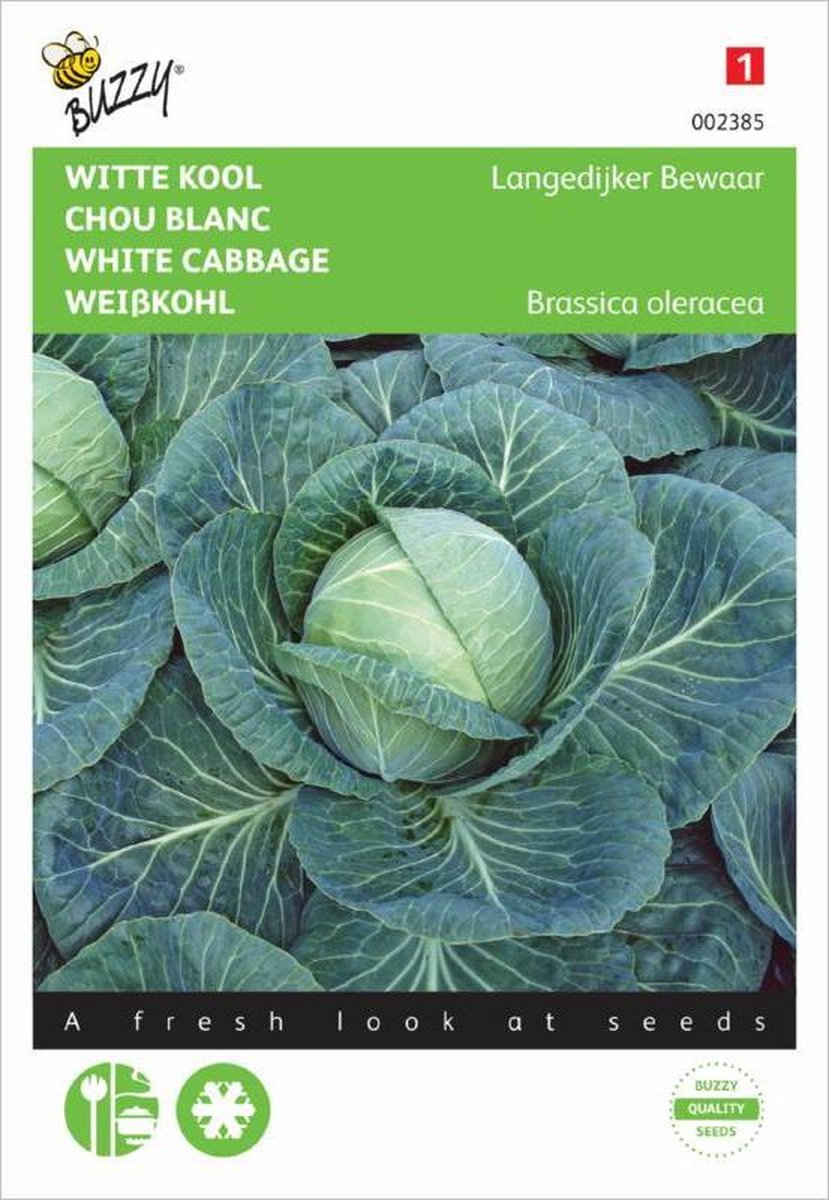 Buzzy Zaden - Witte Kool Langedijker Bewaar - Brassica oleracea