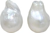Zoetwater parel oorbellen Big Nucleated White Pearl - oorknoppen - echte parels - wit - sterling zilver (925)
