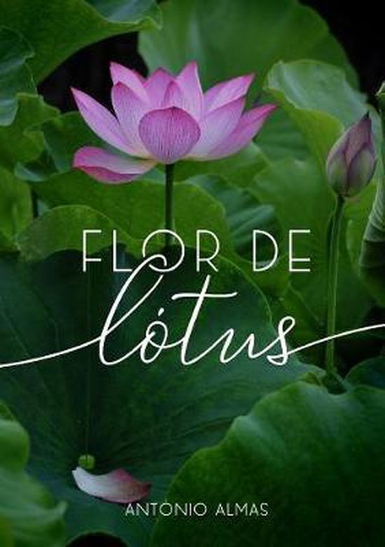 Bol Com Flor De Lotus Antonio Almas Boeken