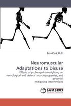 Neuromuscular Adaptations to Disuse